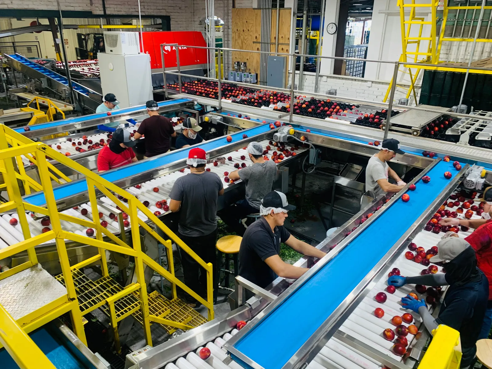People working across a production line