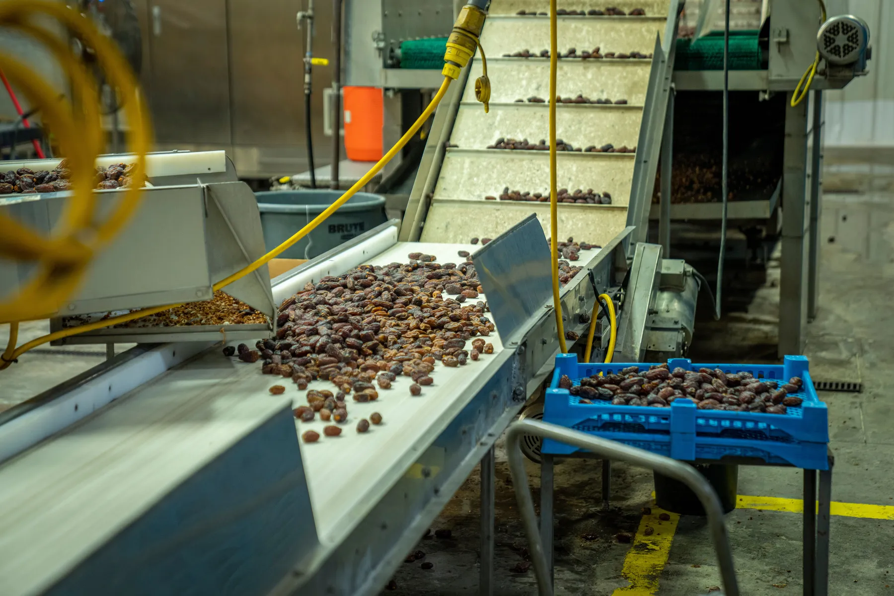 Product moving through a food production line