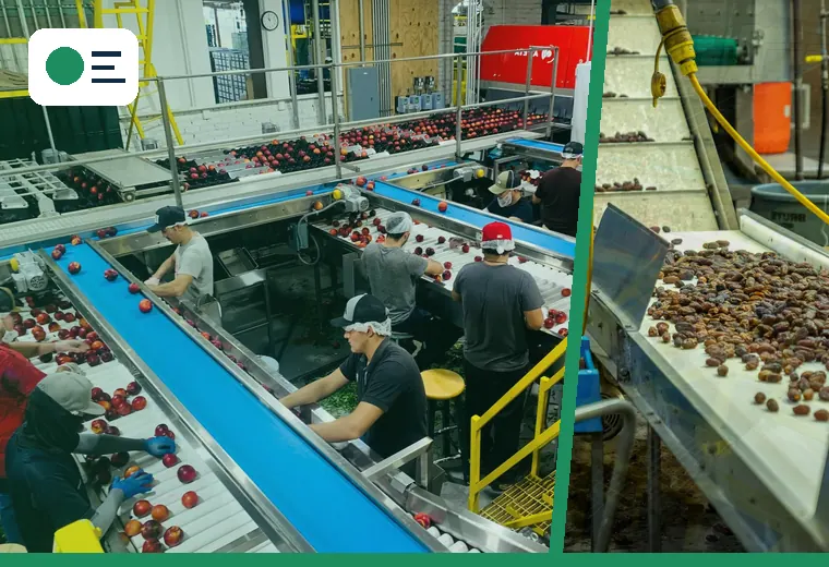 Production process relevant to how do i find and remove bottlenecks in cosmetics manufacturing?