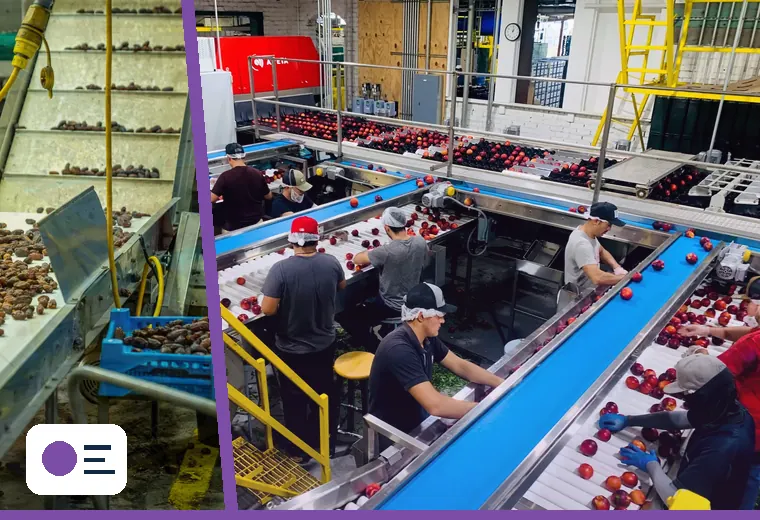 Production process relevant to sachet filling