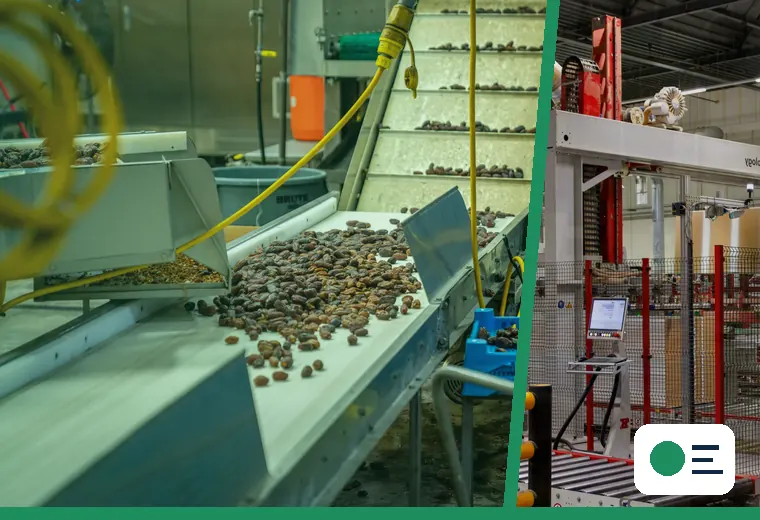 Production process relevant to vertical form-fill-seal bags