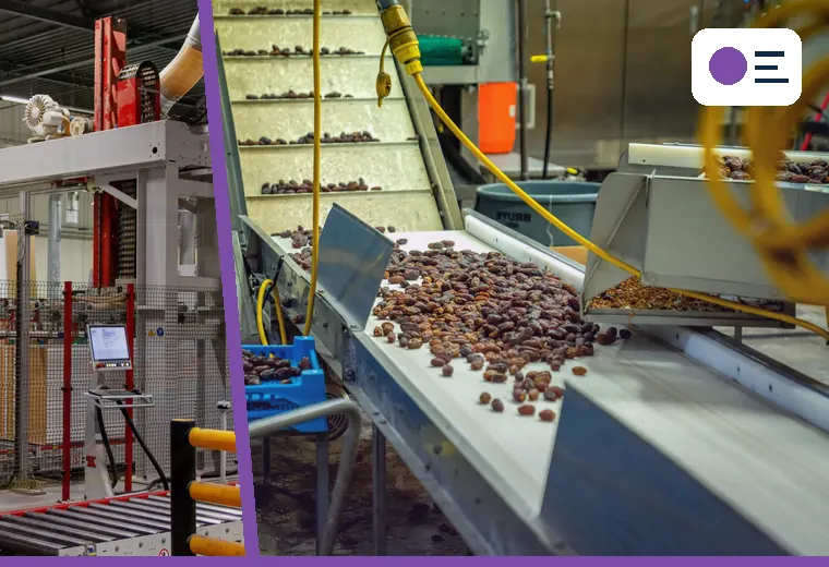 Production process relevant to automation and conveyors