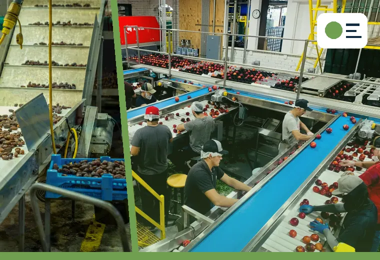 Production process relevant to line clearance