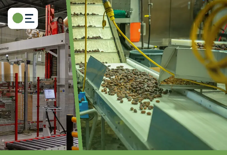 Production process relevant to site acceptance test