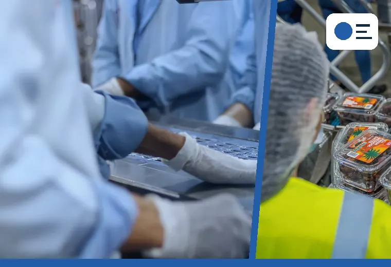 Production process relevant to sustained output