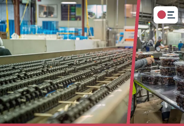 Production process relevant to plant-based drink production