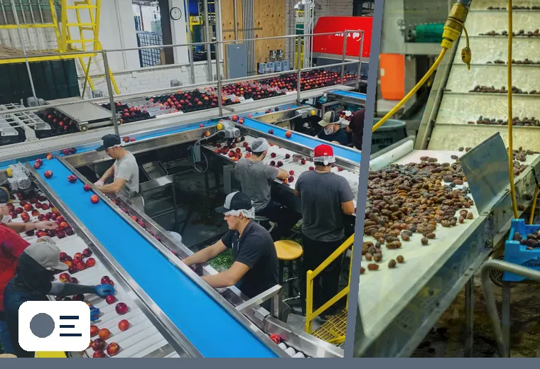 Production process relevant to what are you packing?