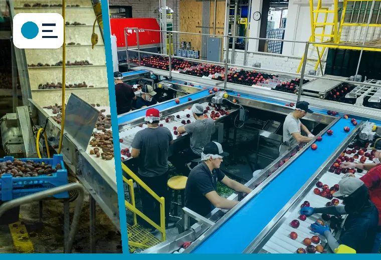 Production process relevant to automation and conveyors
